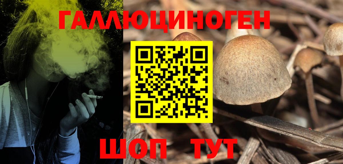 Псилоцибиновые грибы прущие грибы Анжеро-Судженск